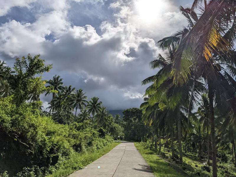 Concrete path lined with palm trees under partly cloudy sky with sunlight breaking through.