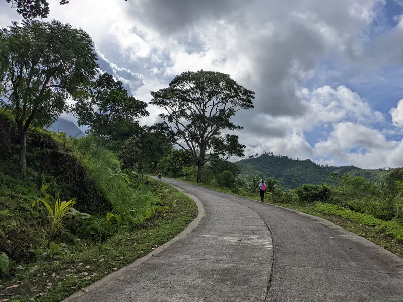 Curved road lined with tall palm trees and mountains in the background under partly cloudy sky.