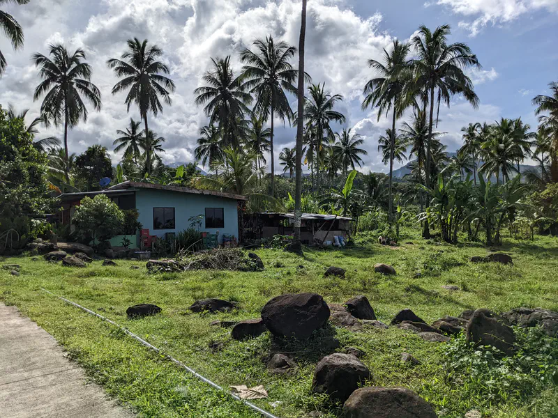 Small blue house surrounded by palm trees and rocks on a grassy field.