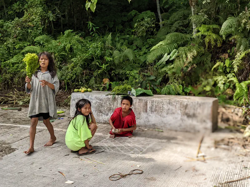 Three children on a roadside near greenery, one holding leafy vegetables.