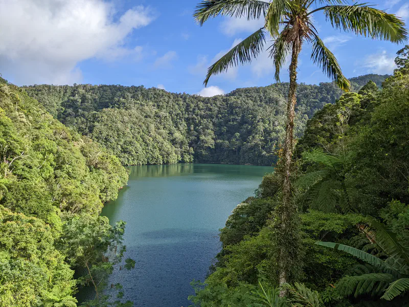 Clear blue-green lake surrounded by lush forested hills with a tall palm tree in the foreground.