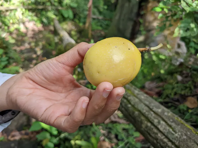 View from a boat showing feet resting on the edge with a calm lake and forested hills.