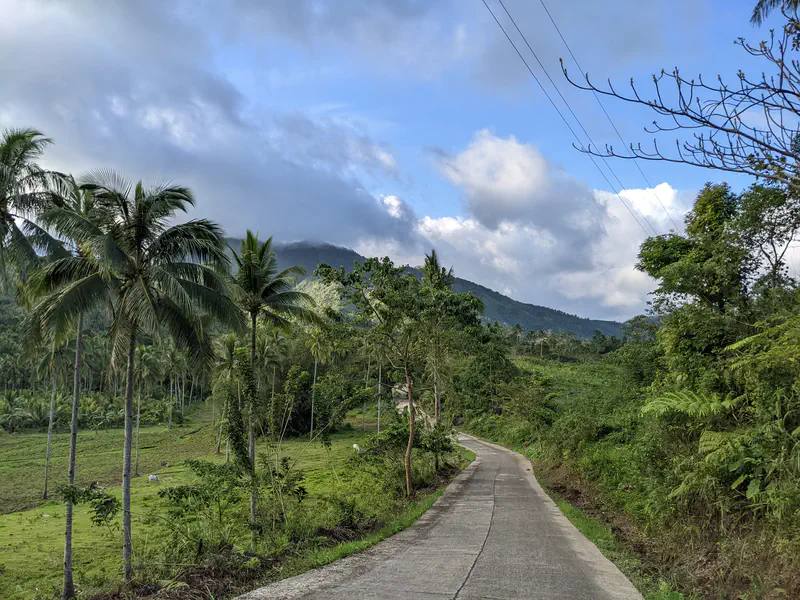 Concrete road winding through green hills with palm trees and mountains under cloudy sky.