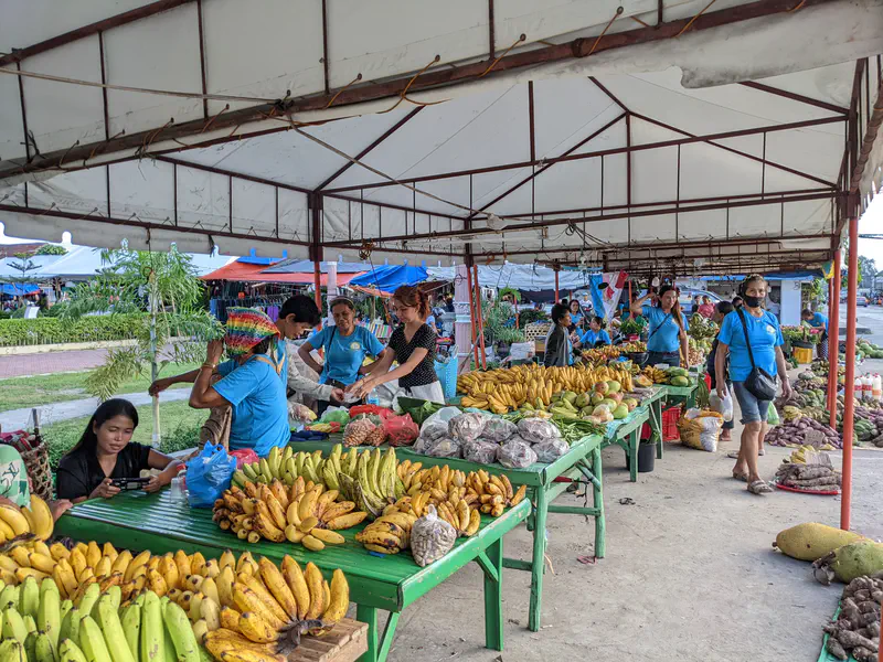 Market stall with bananas, mangoes, and other produce under a tent with vendors and shoppers.
