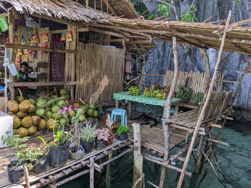 Rustic bamboo stall over water selling coconuts, bananas, snacks, and plants.