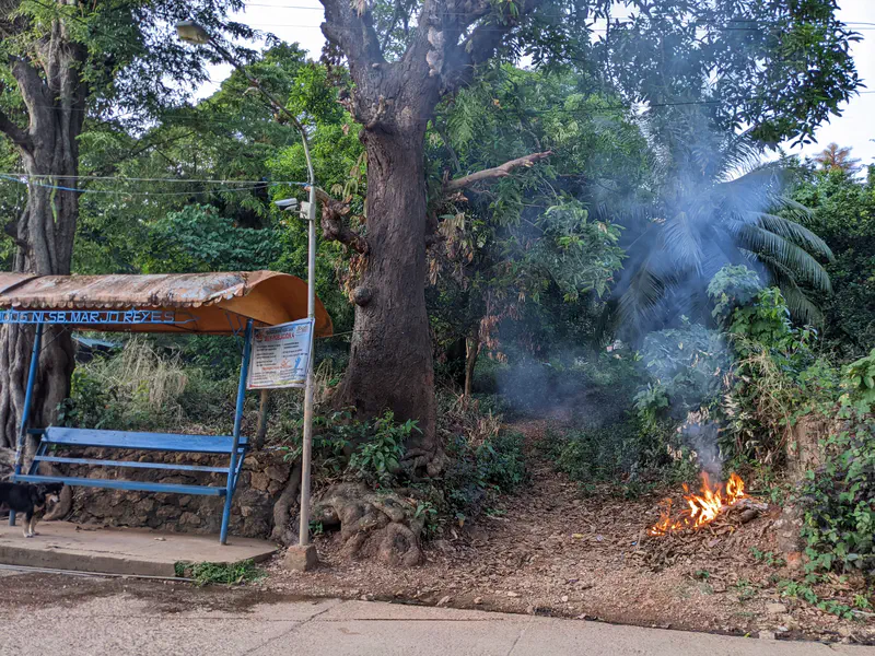 Small roadside bus stop with a metal roof beside a path where leaves are burning, producing smoke among trees and greenery.