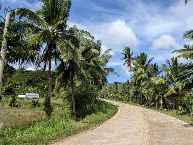 Curved road lined with tall palm trees and greenery under a partly cloudy sky.