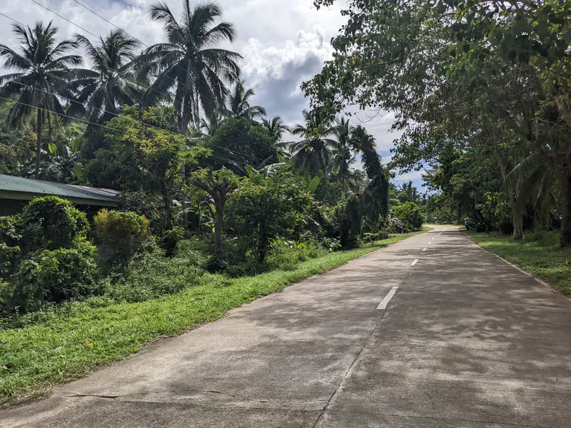 Straight road bordered by dense tropical trees and palm trees with overcast skies.