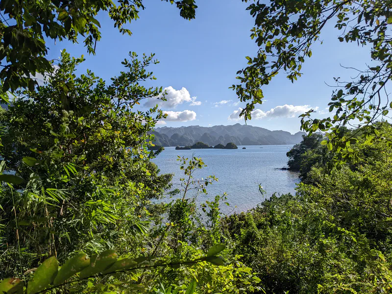 View of a bay with distant mountains framed by lush green foliage.