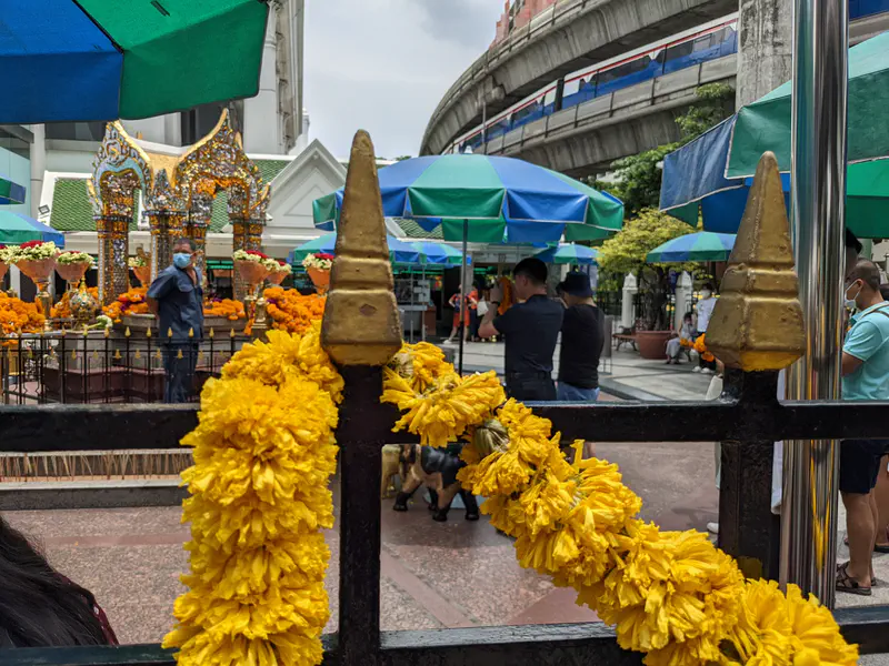 Erawan Shrine in Bangkok with marigold garlands, offerings, and visitors under umbrellas near the elevated train tracks.