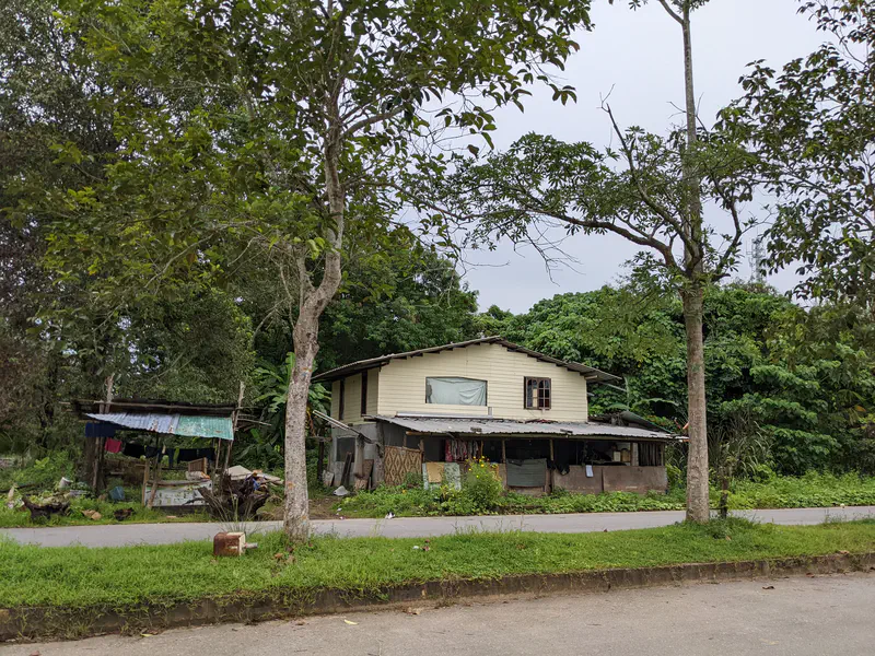 Simple two-story house surrounded by trees and greenery in a rural setting.