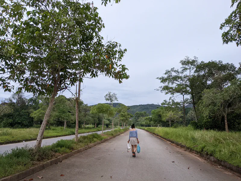 Person walking down a quiet tree-lined road carrying bags, with green hills in the distance.