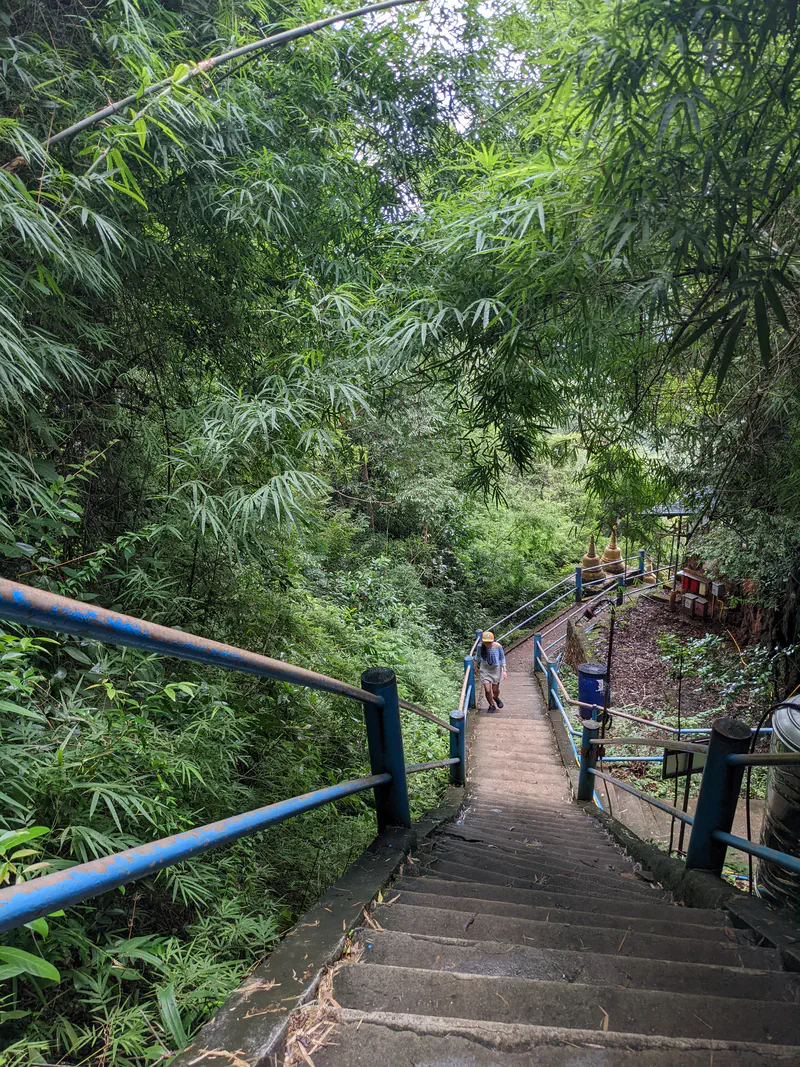 Steep concrete staircase with blue railings descending through dense green forest, with a person walking up the steps.