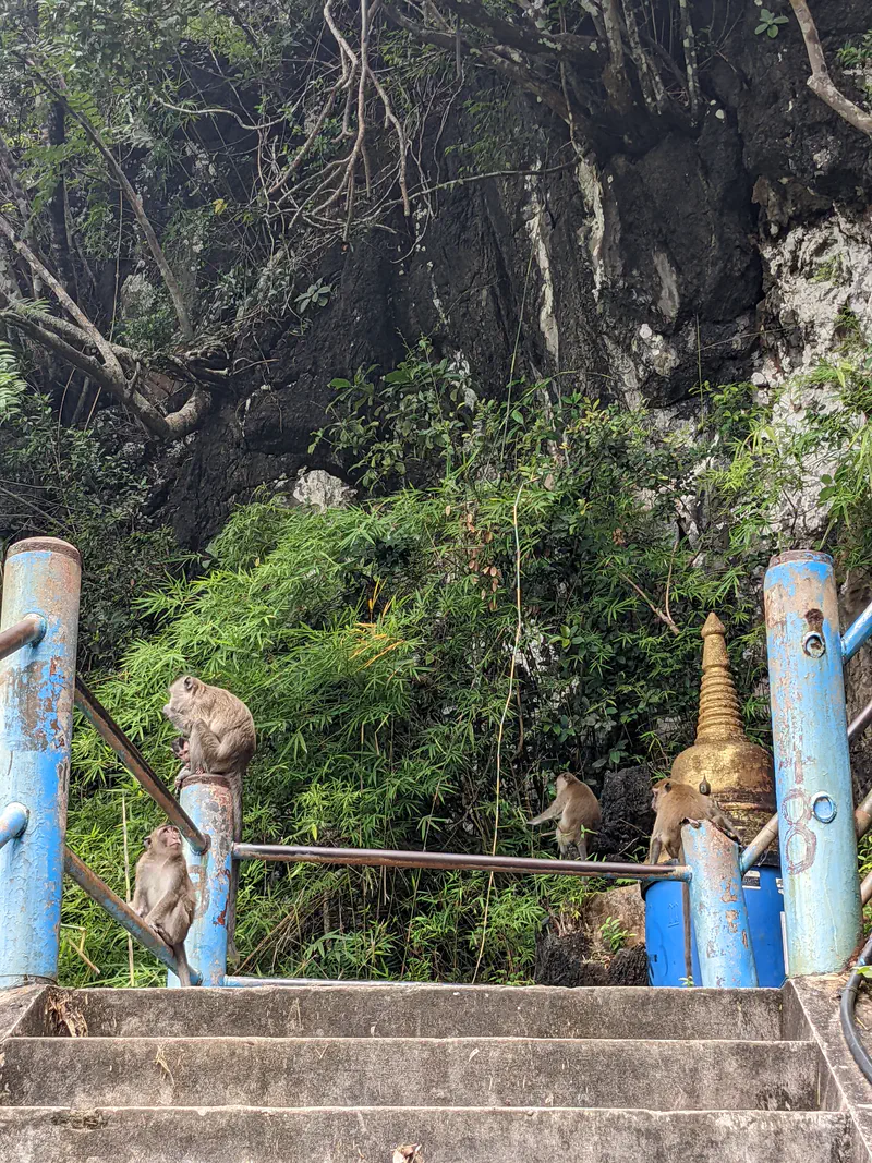 Group of monkeys sitting and climbing on blue railings along a stone staircase near a rocky cliff with greenery.