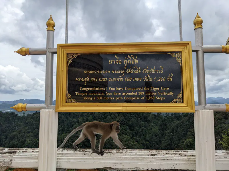 Sign at the summit of Tiger Cave Temple mountain with congratulatory text, while a monkey walks along the railing in front of it.