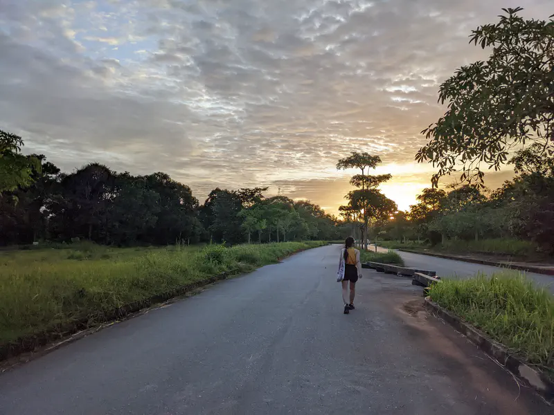 Person walking down a quiet road surrounded by greenery at sunset with a dramatic cloudy sky.