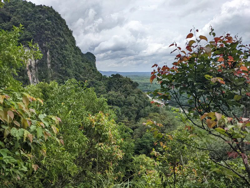 Scenic view of lush green forest and limestone cliffs with colorful foliage in the foreground under a cloudy sky.
