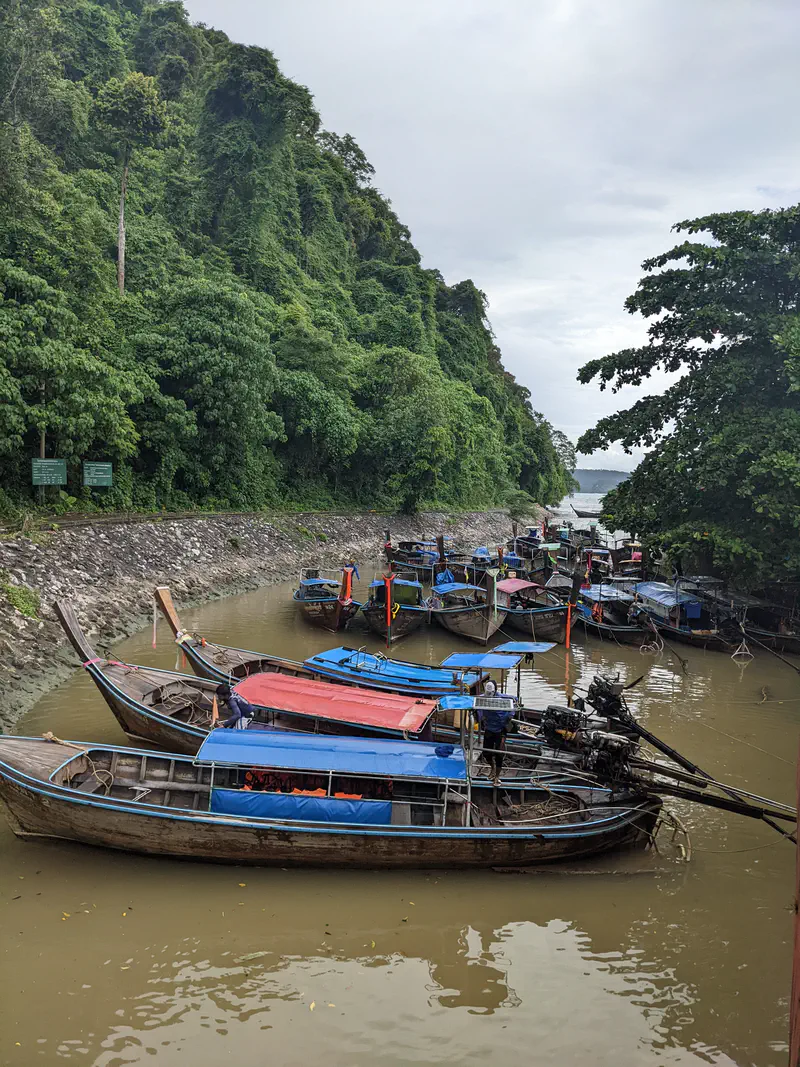Wooden long-tail boats with colorful covers docked in a narrow waterway surrounded by dense green forest.