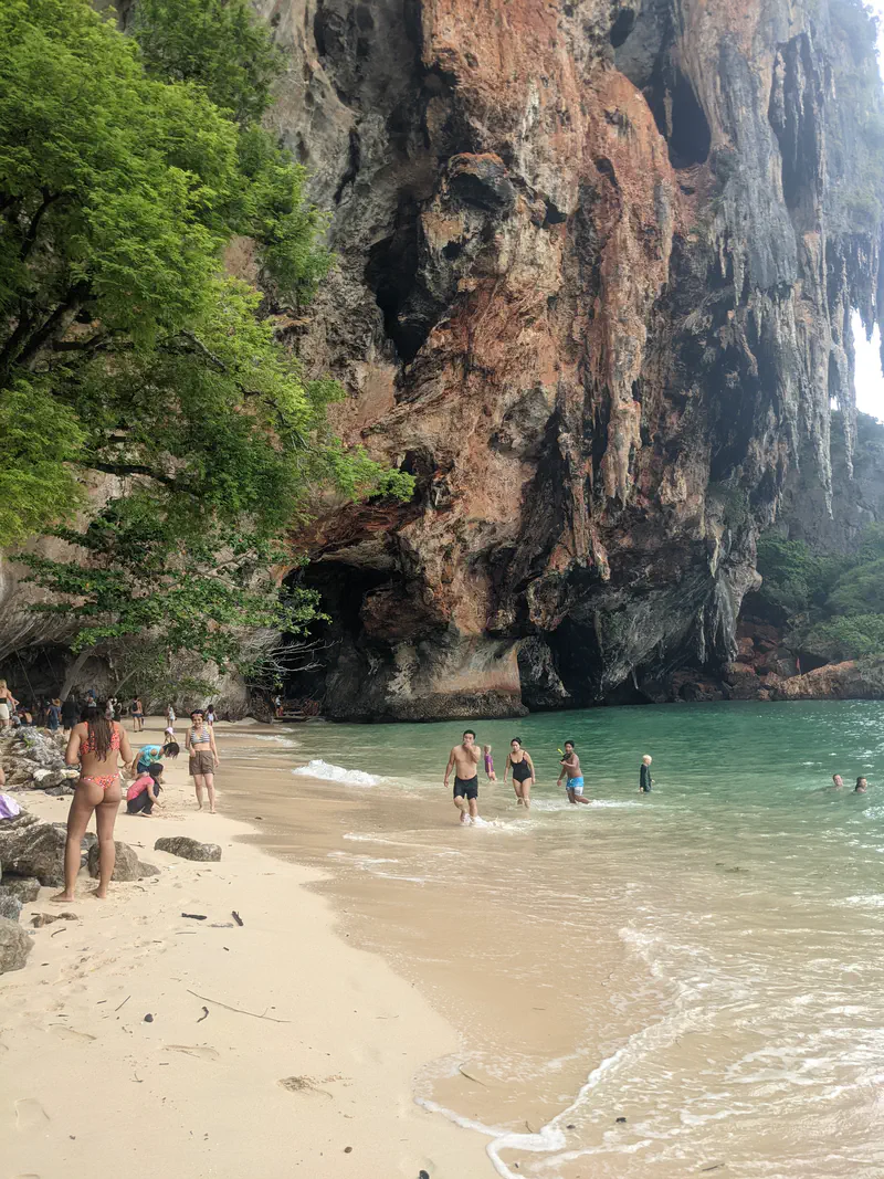People swimming and walking along a sandy beach at the base of tall limestone cliffs with overhanging trees.