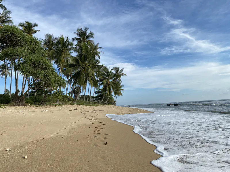 Tropical beach with golden sand, palm trees along the shore, and gentle ocean waves under a bright blue sky.