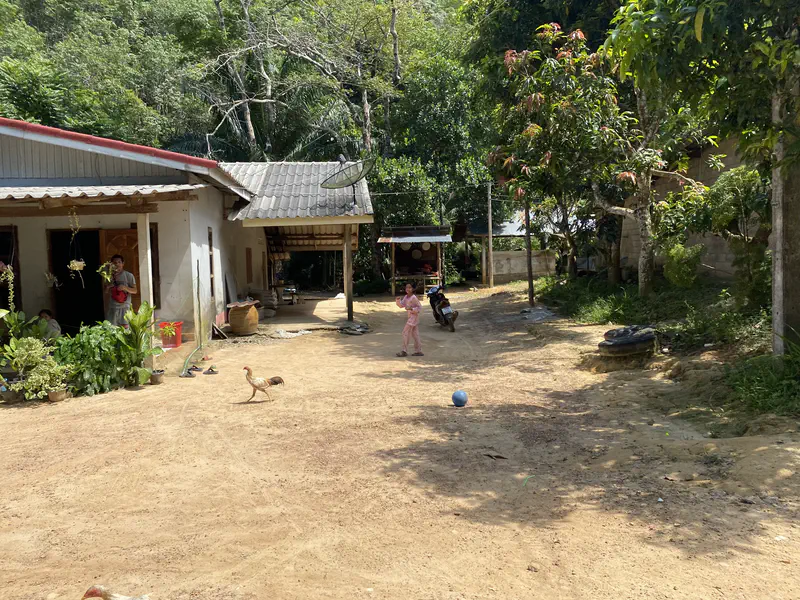 Rural home with people standing outside, a child playing in the yard, and chickens walking across the dirt ground surrounded by trees.