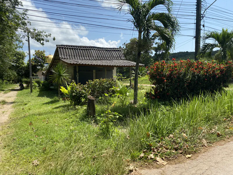 Small house with a tiled roof surrounded by palm trees, green grass, and red flowering bushes on a sunny day.