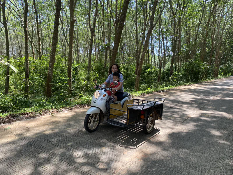 Woman riding a motorbike with a sidecar attachment on a road through a rubber tree plantation, with a child sitting in front of her.