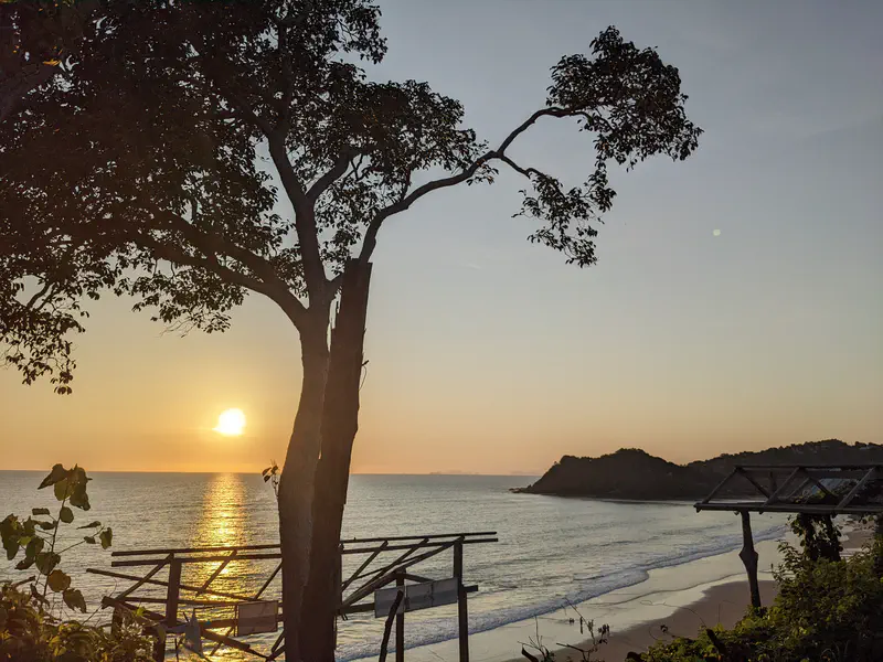 Sunset over the ocean viewed from a hillside with a tree in the foreground and a sandy beach below.