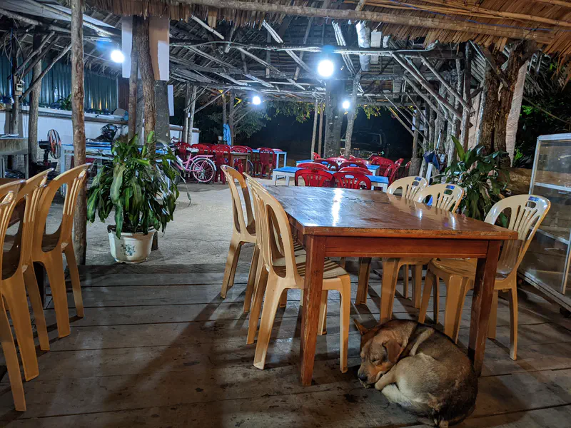 Dog curled up under a wooden table in an open-air restaurant with plastic chairs.