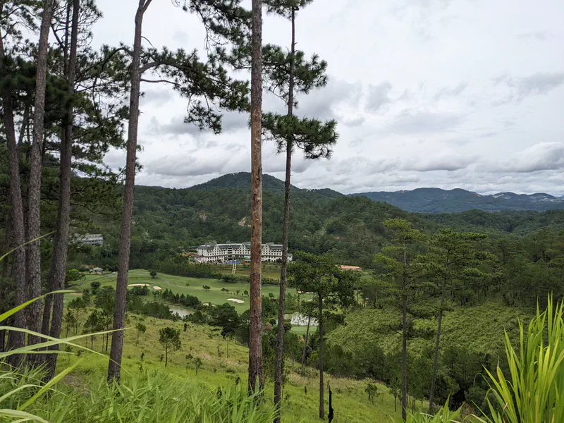 Resort and golf course viewed through tall pine trees on a hillside.