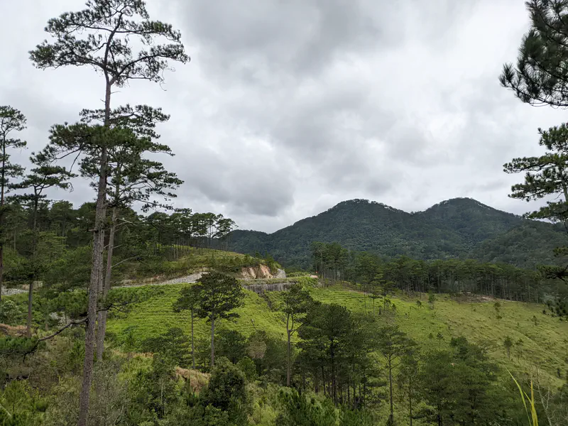 Mountain landscape with pine trees and a winding road under cloudy skies.