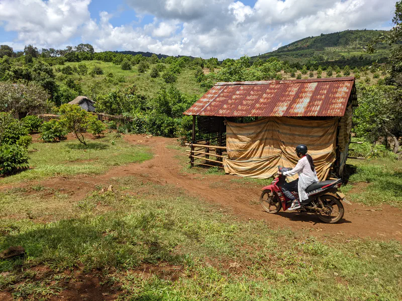 Person riding a motorbike past a small shed with a rusted metal roof in a green landscape.