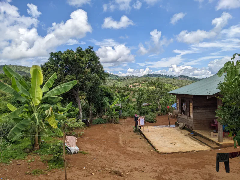 Wooden house with a tin roof surrounded by trees, banana plants, and hills in the background.