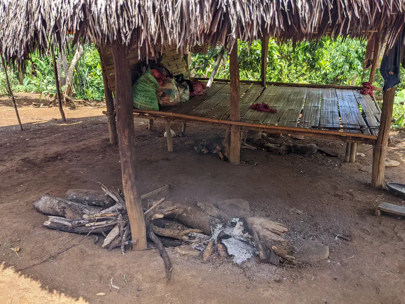 Outdoor fire pit with logs and ashes under a raised bamboo platform with a thatched roof.