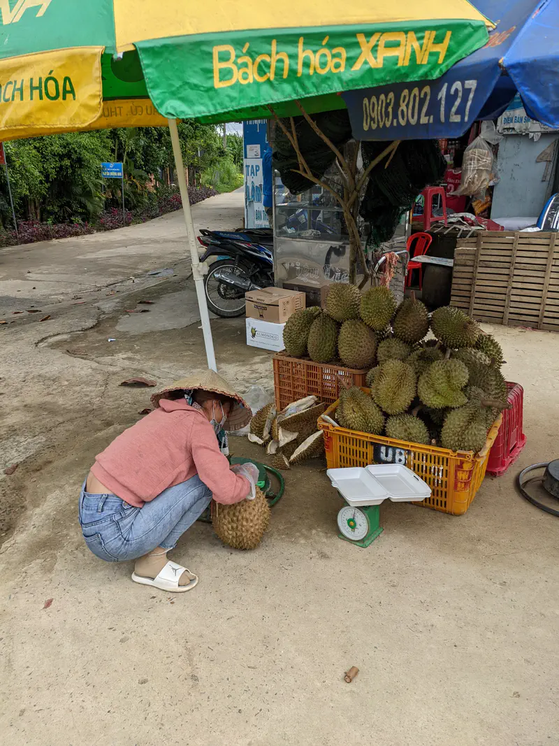 Vendor in a conical hat squatting to weigh durians at a roadside fruit stand under umbrellas.
