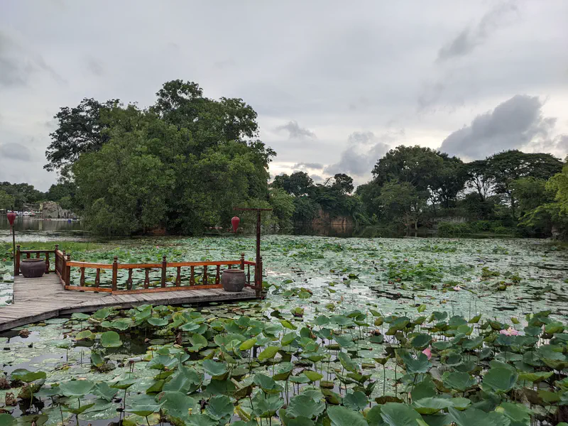 Wooden pier extending into a lotus pond surrounded by trees under a cloudy sky.