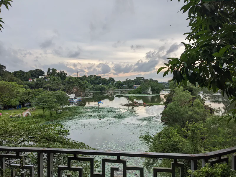 View of a lake with lotus plants, trees, and distant houses at sunset.