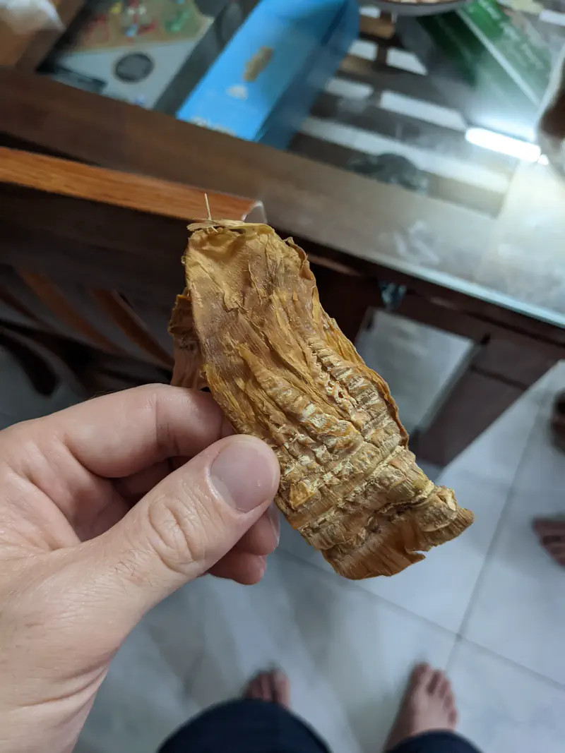 Hand holding a piece of dried bamboo shoot.