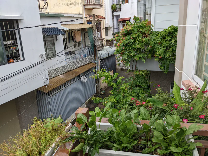 View from a balcony showing potted plants and greenery on neighboring houses.