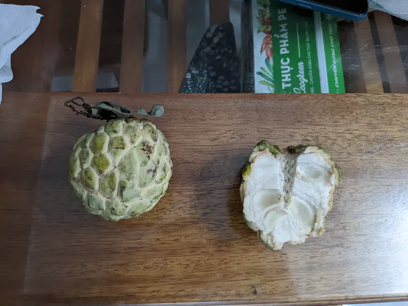 Sugar apple fruit, one whole and one cut in half, showing its white flesh and large seeds.