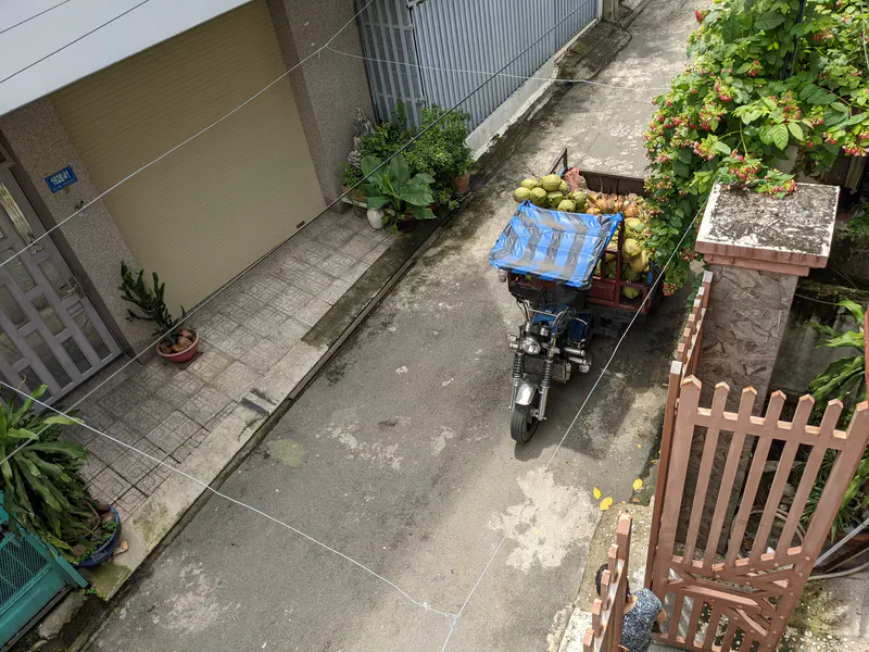 Motorbike cart loaded with coconuts parked on a narrow residential street beside houses and plants.