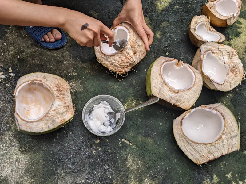 Hands scooping coconut meat into a bowl from freshly opened coconuts placed on the ground.