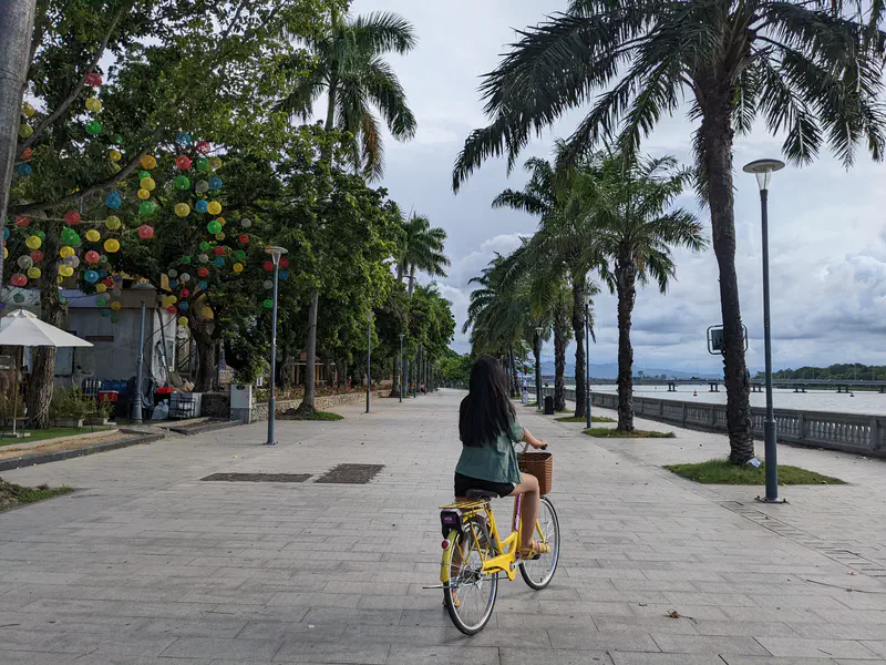 Young woman riding a yellow bicycle along a riverside promenade lined with palm trees in Huế.