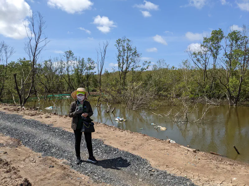 Person wearing a hat and mask standing on a dirt path by a waterway with trees and mangroves.