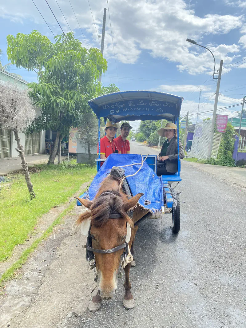 Horse-drawn carriage with three passengers on a rural road under a blue sky.