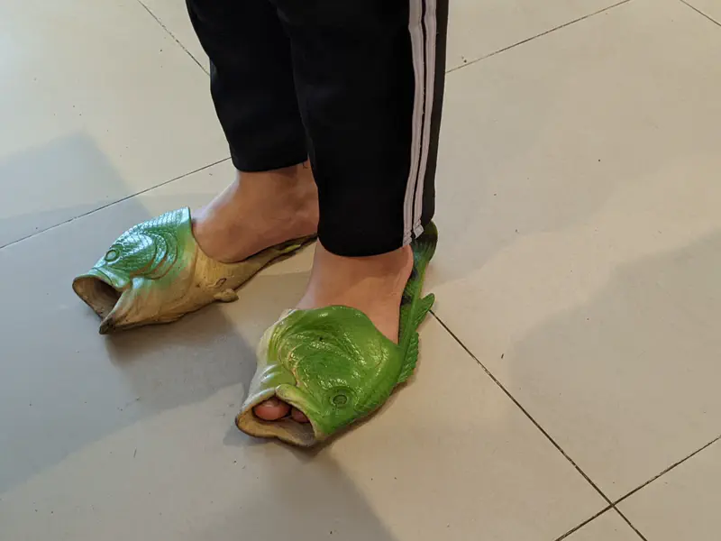 Person wearing novelty slippers shaped like green fish with open mouths.