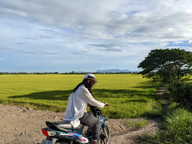 Person wearing a helmet and mask riding a motorbike next to green rice fields with a large tree and mountains in the background.